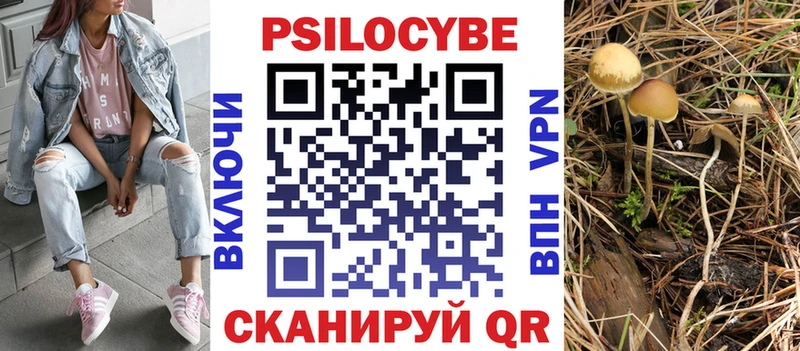Галлюциногенные грибы ЛСД  закладки  Вологда 